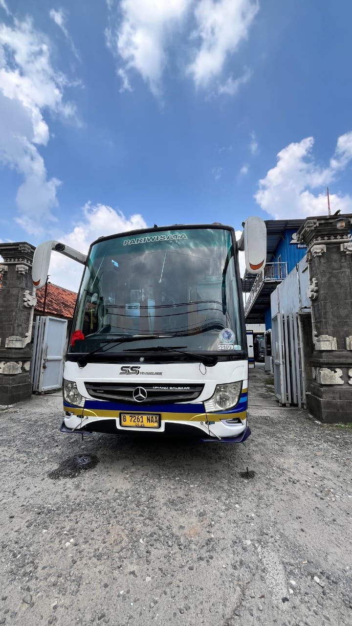 SS Travelink