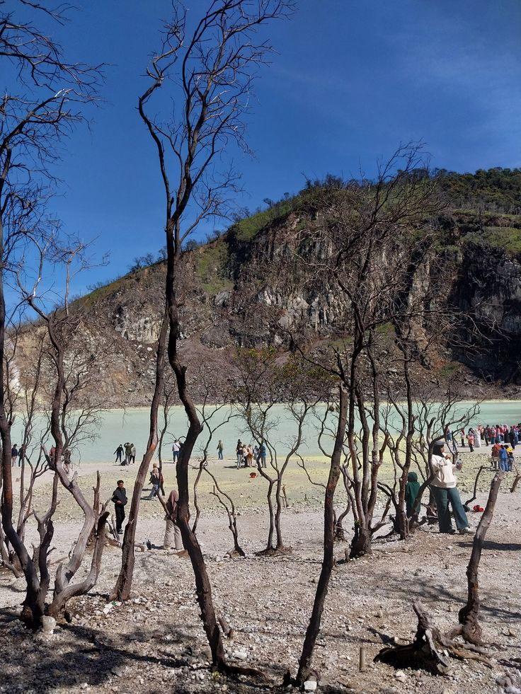 Open Trip Ciwidey -  One Day Nature Escape