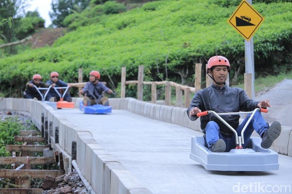 Open Trip Ciwidey -  One Day Nature Escape